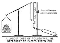 A larger dose of pollen will be necessary to exceed threshold